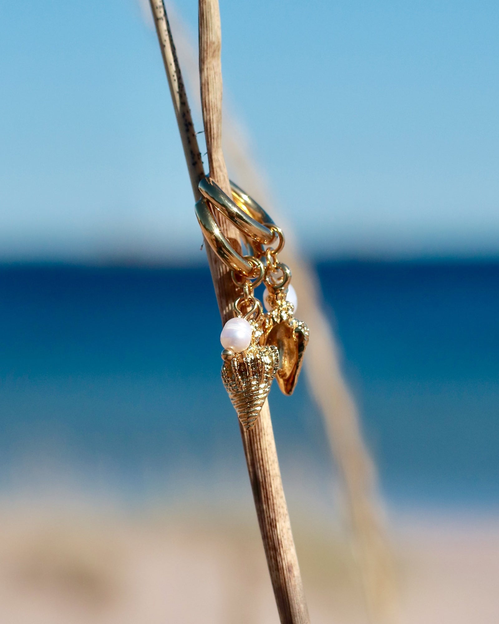Gold hoop earrings with seashell charms and freshwater pearls hanging on beach grass by the sea by HNKO Finland