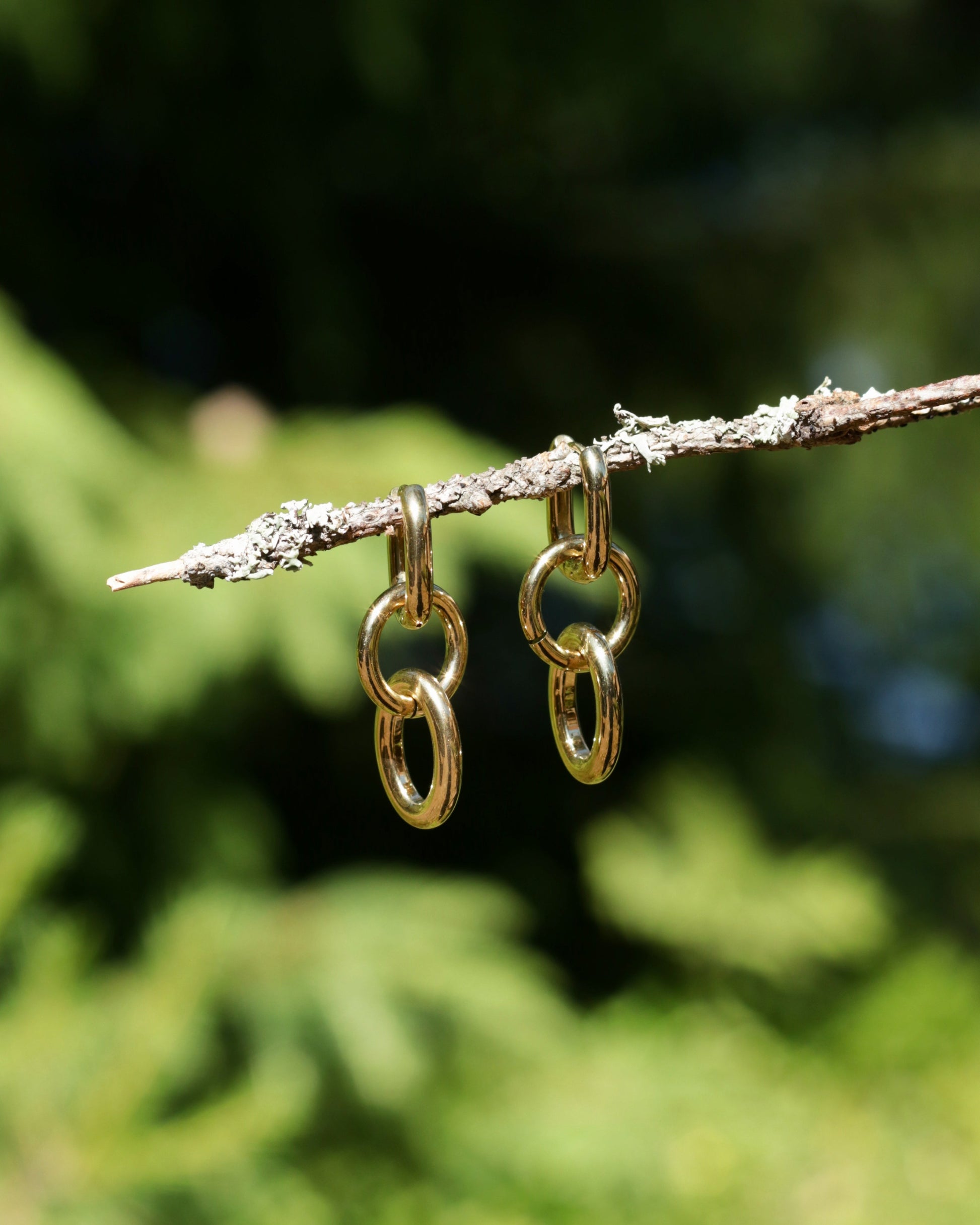 Gold chain-link drop earrings hanging from a small tree branch outdoors, with a blurred green natural background.